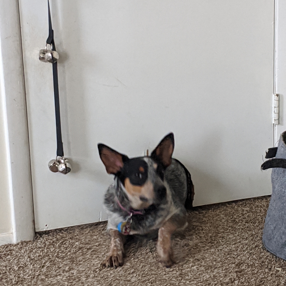 Reasonable offers always welcome 😄 - Picture 2 of 6